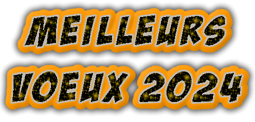 meilleurs-voeux-2024-glitter Syndicat FO au service des salariés d'ADREXO - Actualités - Results from #20